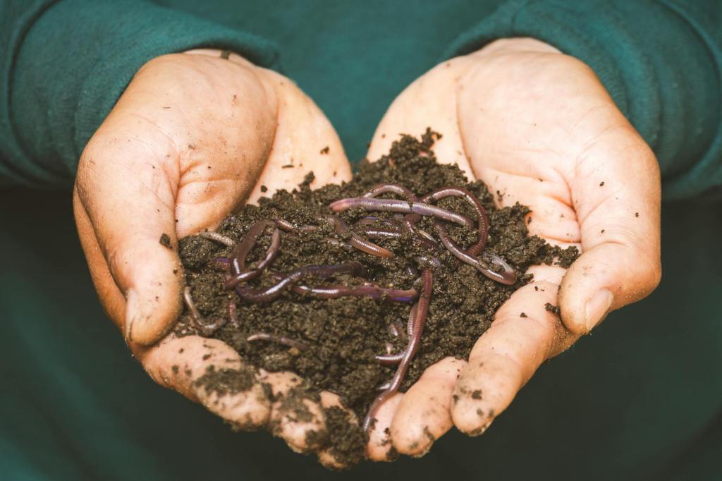 How to start&nbsp;composting